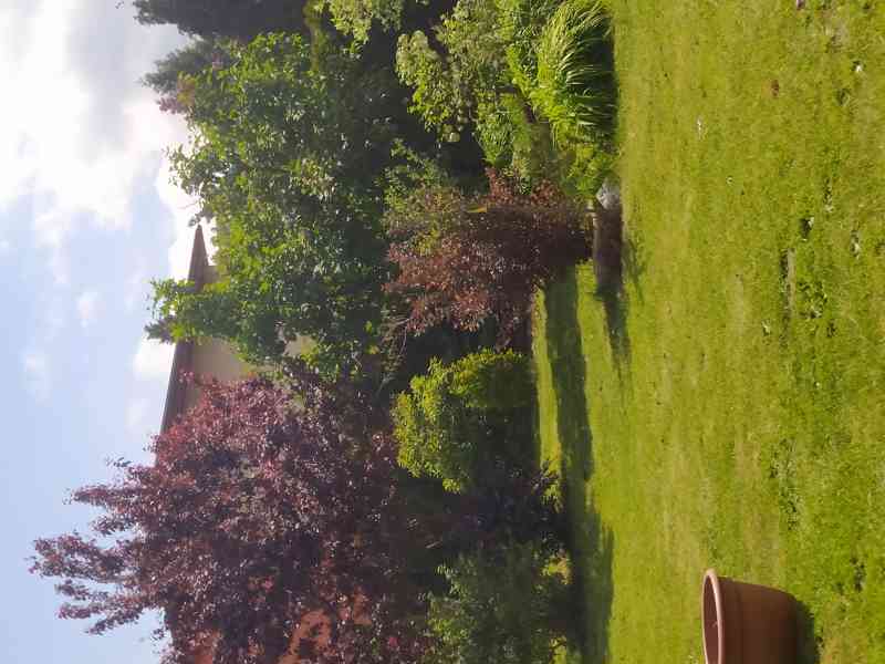 Prodej RD - Rybitví - foto 6