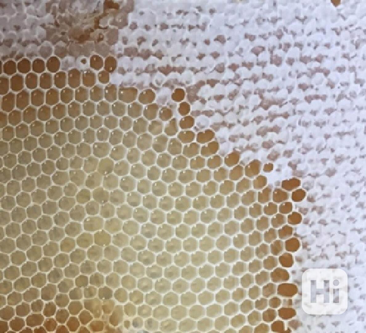 Vyzimovaná včelstva - foto 1