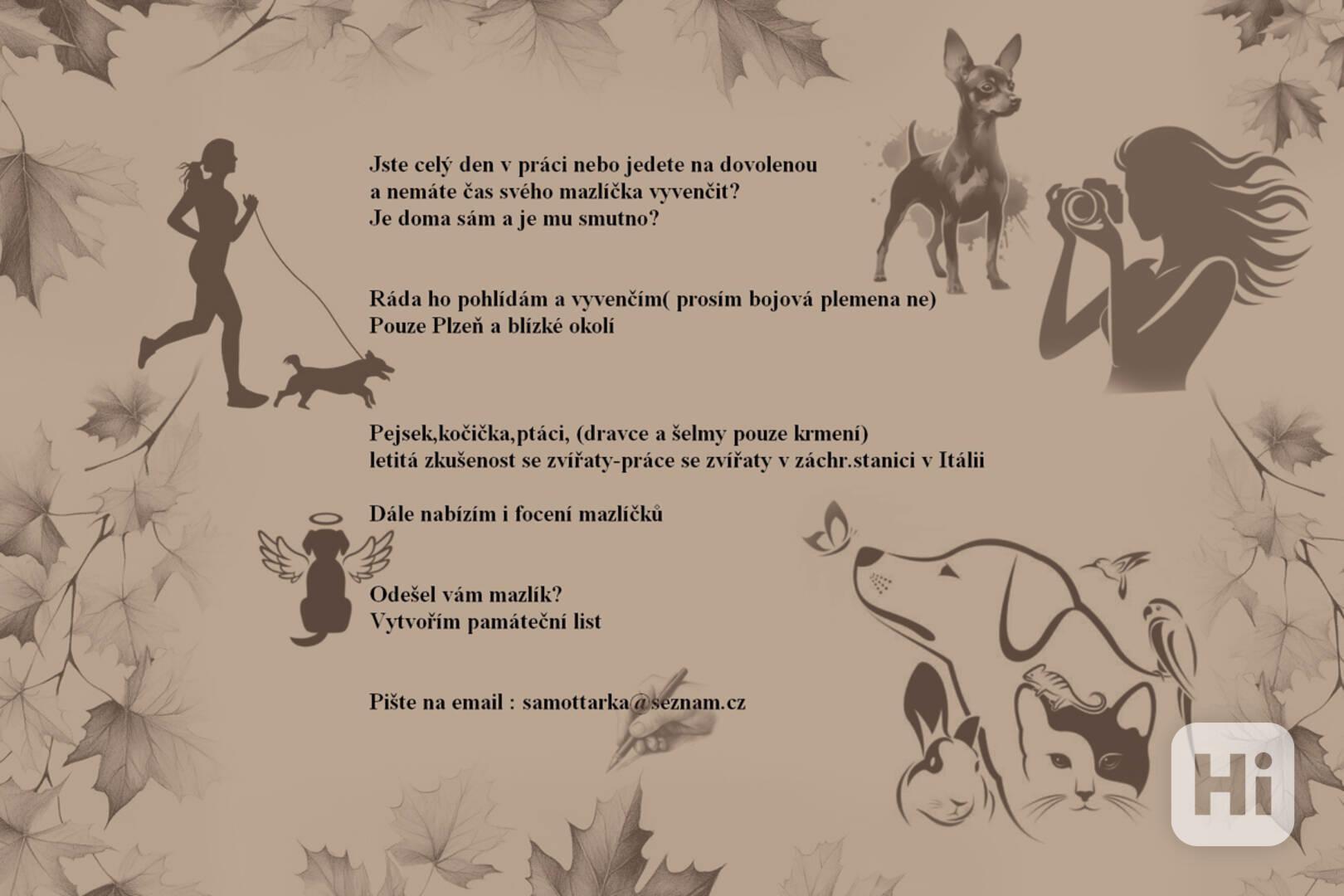 Hlídání mazlíčků - foto 1