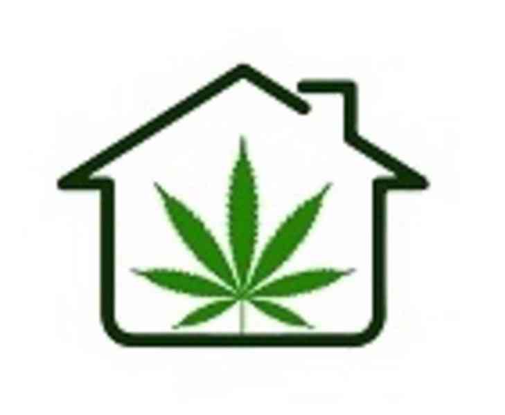 Buy Weed in Piacenza,Telegram (@rushseller89) - foto 1