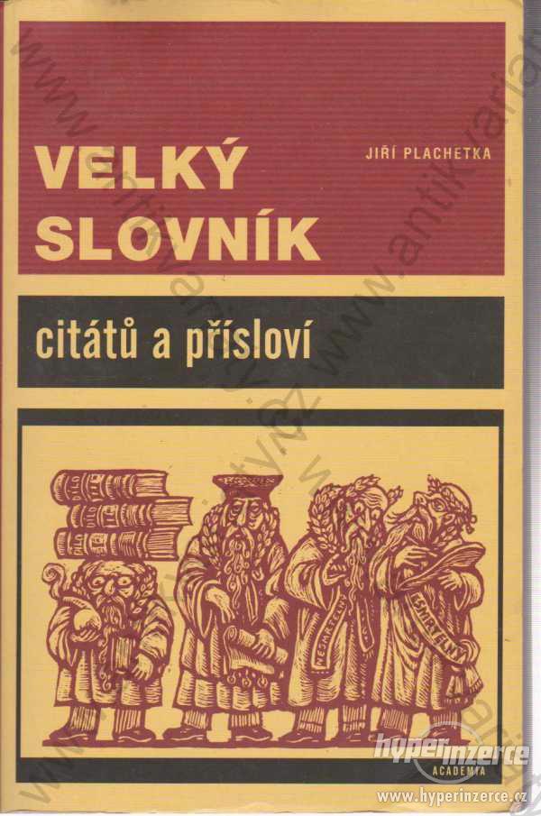 Velký slovník  Jiří Plachetka Academia 1996 - foto 1