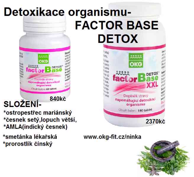 Přírodní detox-Factor Base detox - foto 1