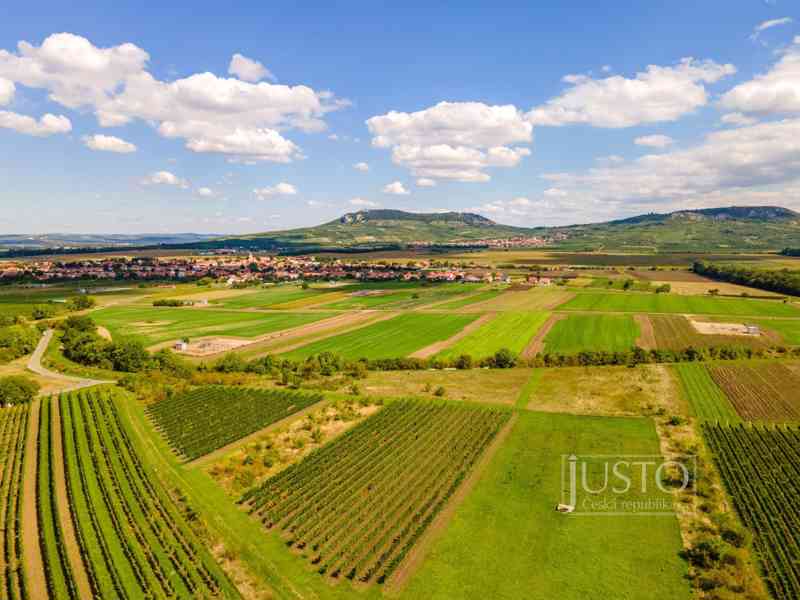 Prodej vinice, 3 974 m², Dolní Dunajovice - foto 3