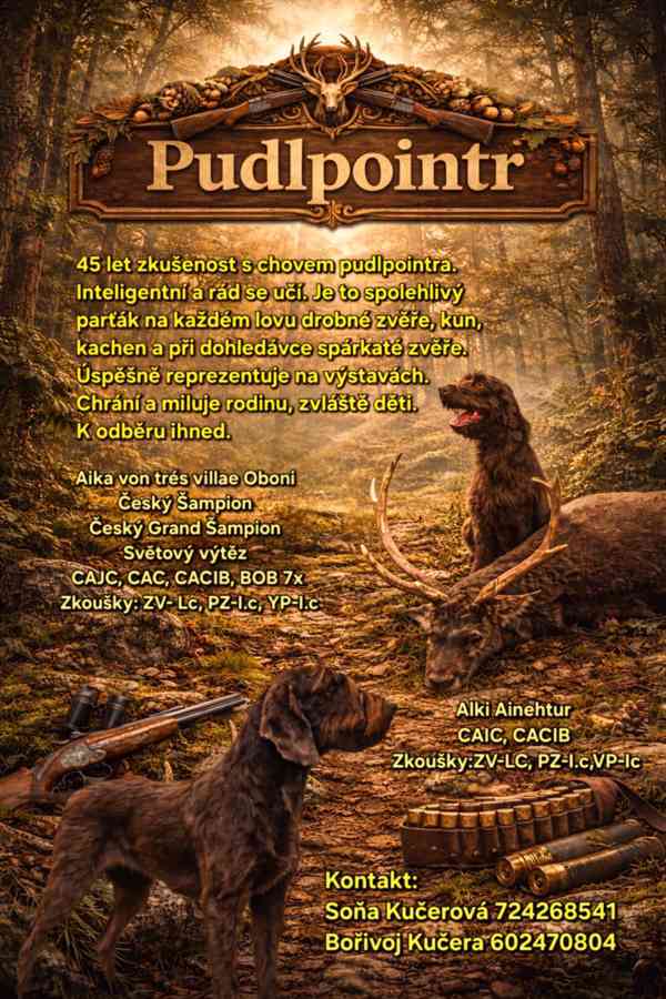 Pudlpointr s PP - FCI - foto 6