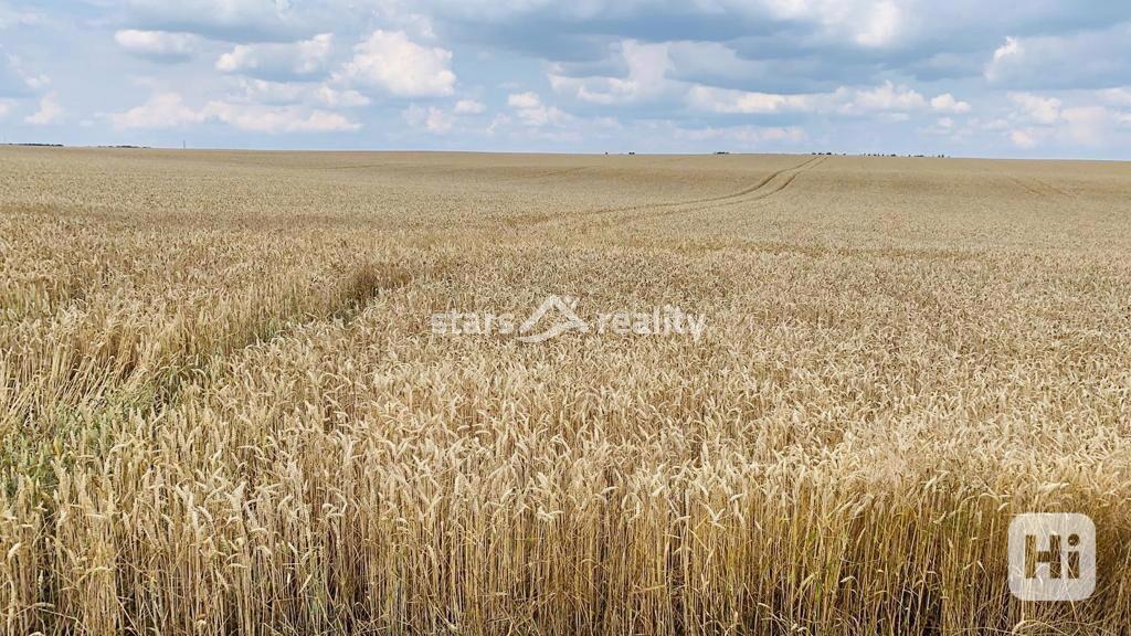 Prodej pozemků, Ujkovice okr. Mladá Boleslav - foto 5