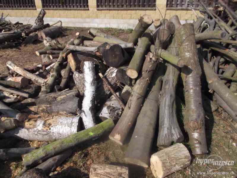 Palivové dřevo rizikové kácení prořez Chomutov - foto 2
