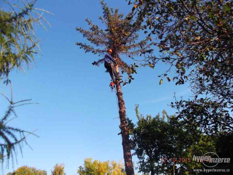 Palivové dřevo rizikové kácení prořez Chomutov - foto 4