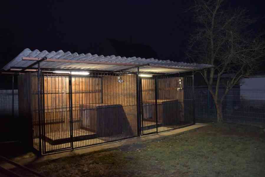 Německý ovčák štěňata - foto 3