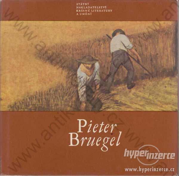 Pieter Bruegel Jaromír Neumann 1965 - foto 1