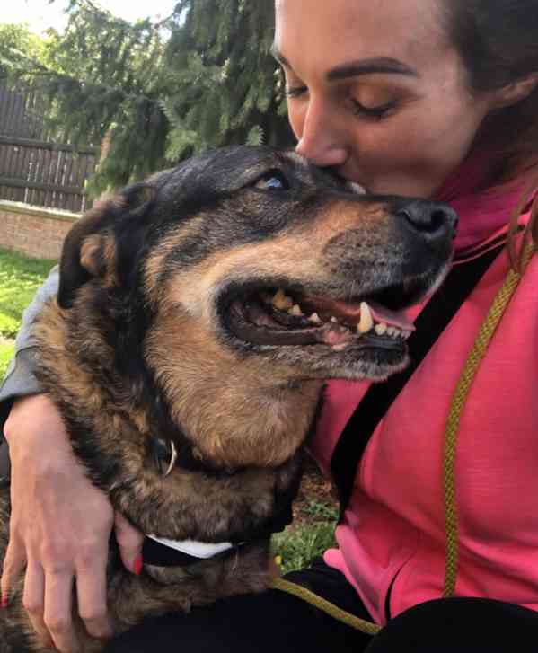 ROXY - 38 kg, kastrovaná fenečka 9 let  - foto 6