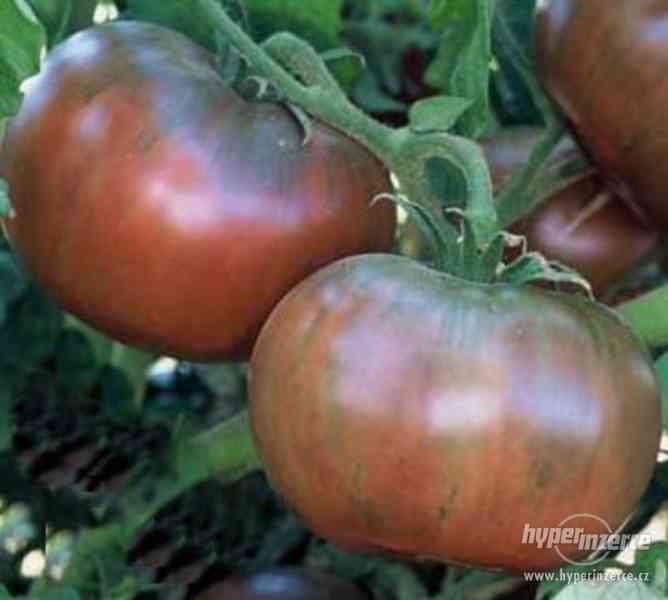 Rajče Cheroke Purple - semena - foto 1