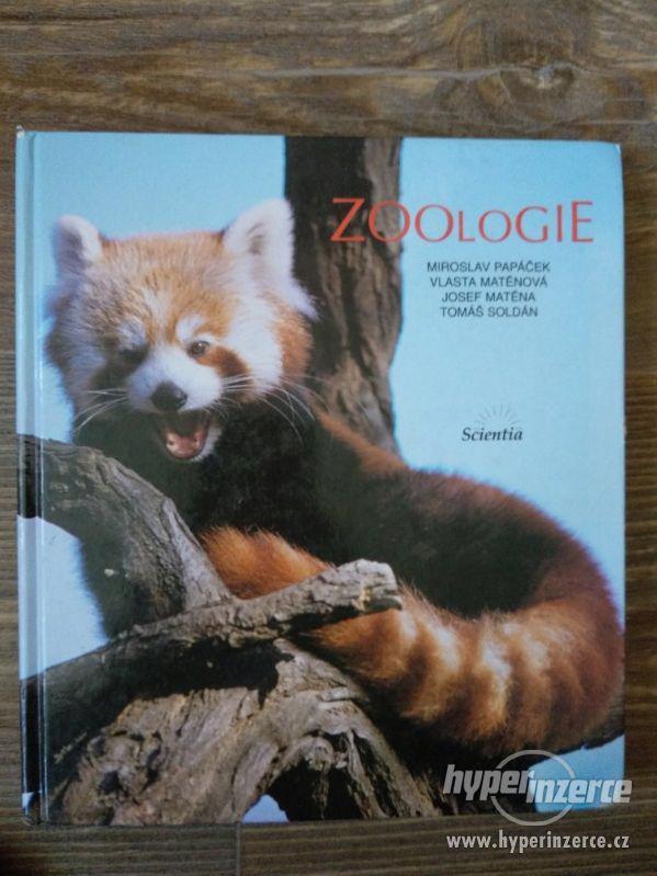 Zoologie - Miroslav Papáček - foto 1