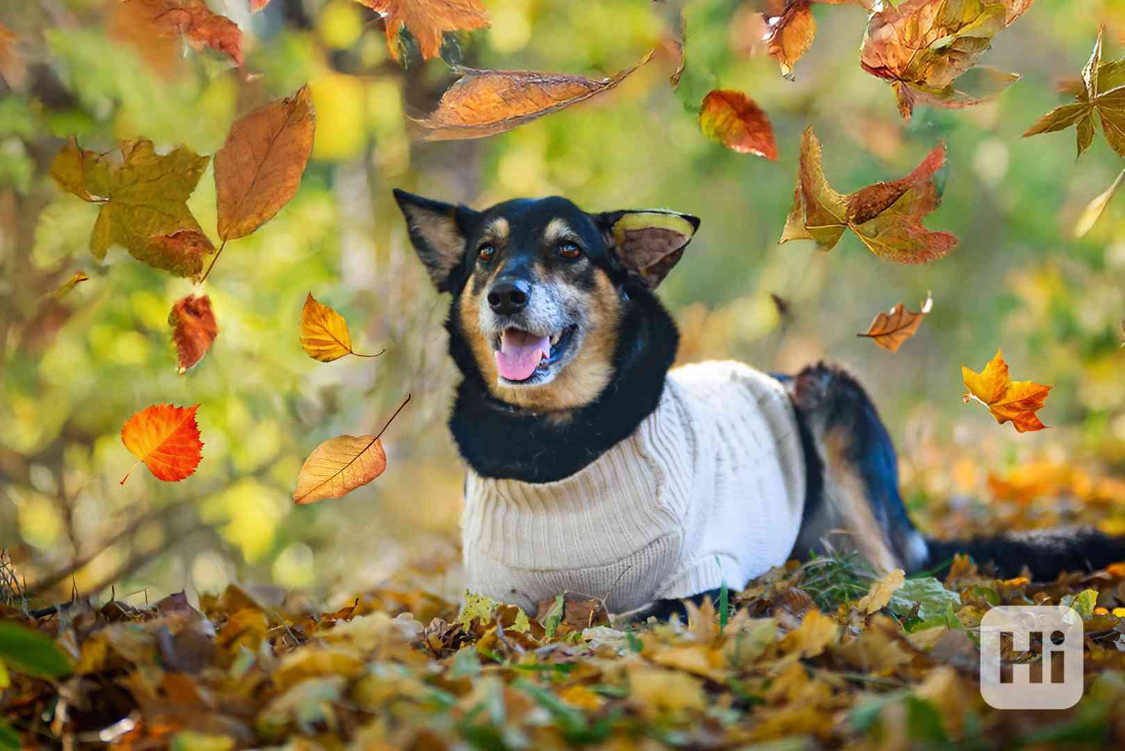 ALOHA – holčička, co rozdává slunce i v dešti - foto 1