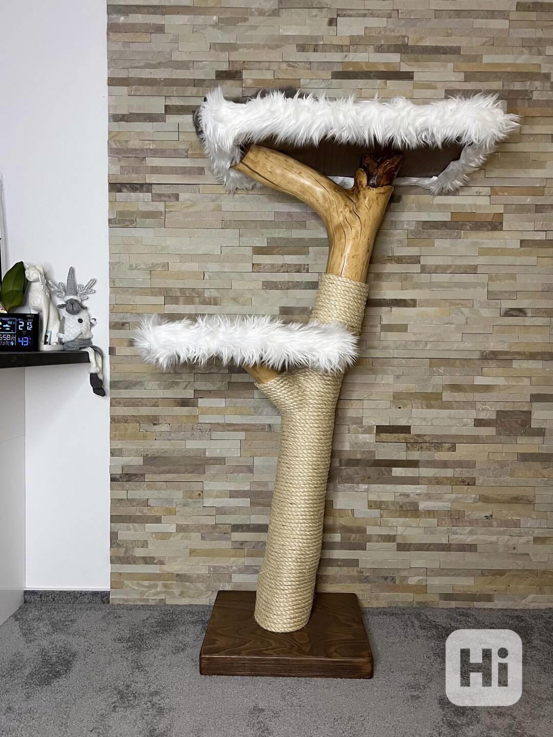 Kočičí stromy - foto 1