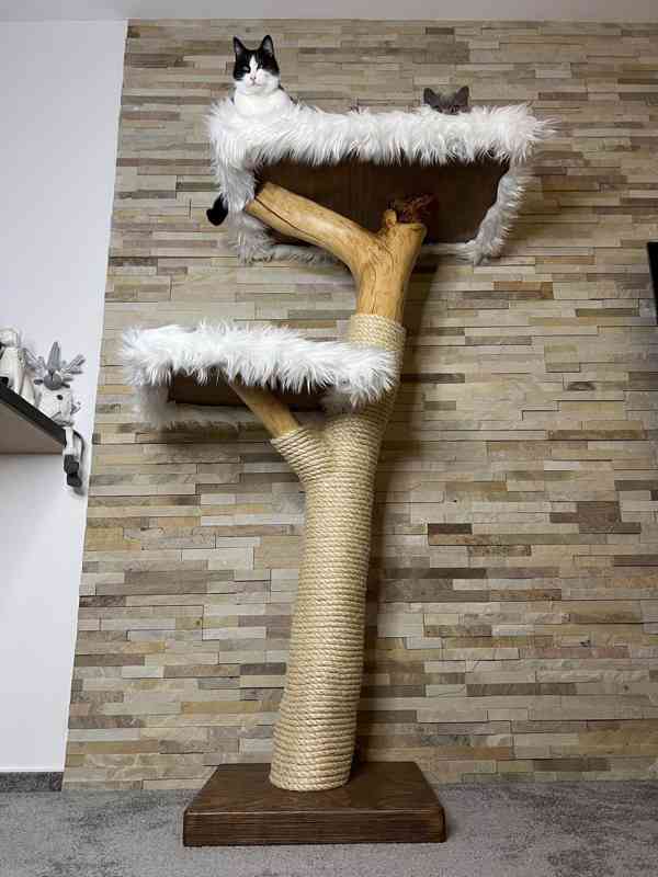 Kočičí stromy - foto 3