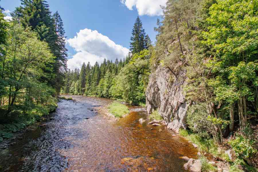 Prodej prostorného bytu 2+1 (99,9 m²) v  Anníně u Sušice - foto 6