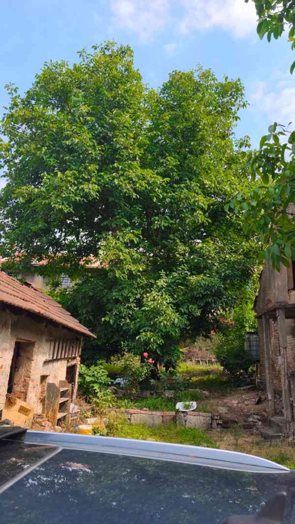 Dům - Záboří nad Labem  - foto 7