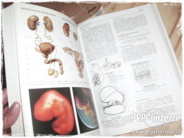 Učebnice Biologie, Zeměpis, Literatura-Gymnázium - foto 3