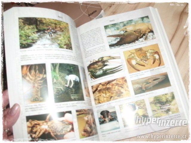 Učebnice Biologie, Zeměpis, Literatura-Gymnázium - foto 4