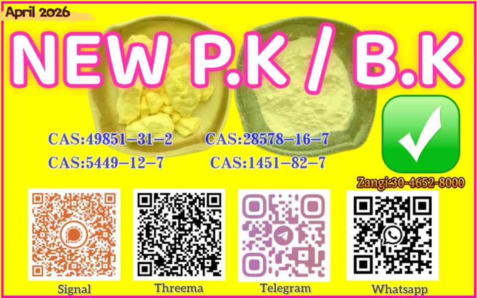 Cas 5449-12-7 Bmk Glycidic Acid (Sodium Salt) Bmk Powder Saf