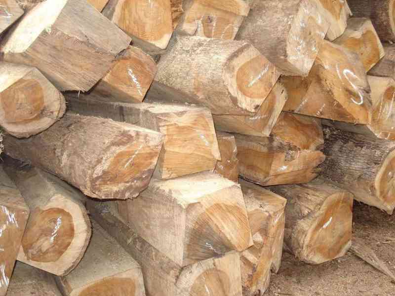 Timbars in Africa uganda 🇺🇬   - foto 4