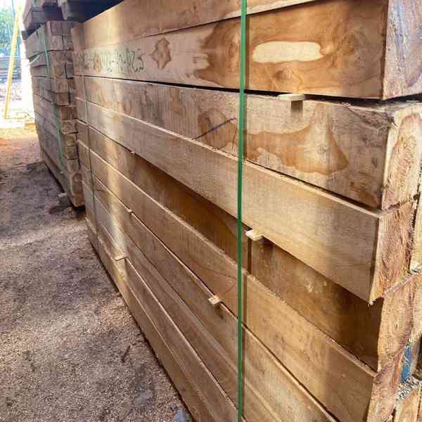 Timbars in Africa uganda 🇺🇬   - foto 6