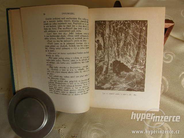 Dvojnožec a jiné povídky - foto 4