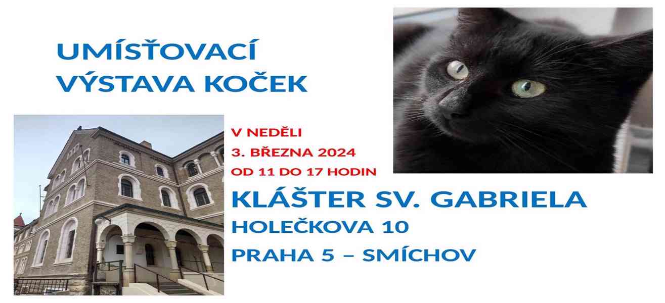 Umísťovací výstava koček v Praze 5, klášter sv. Gabriela