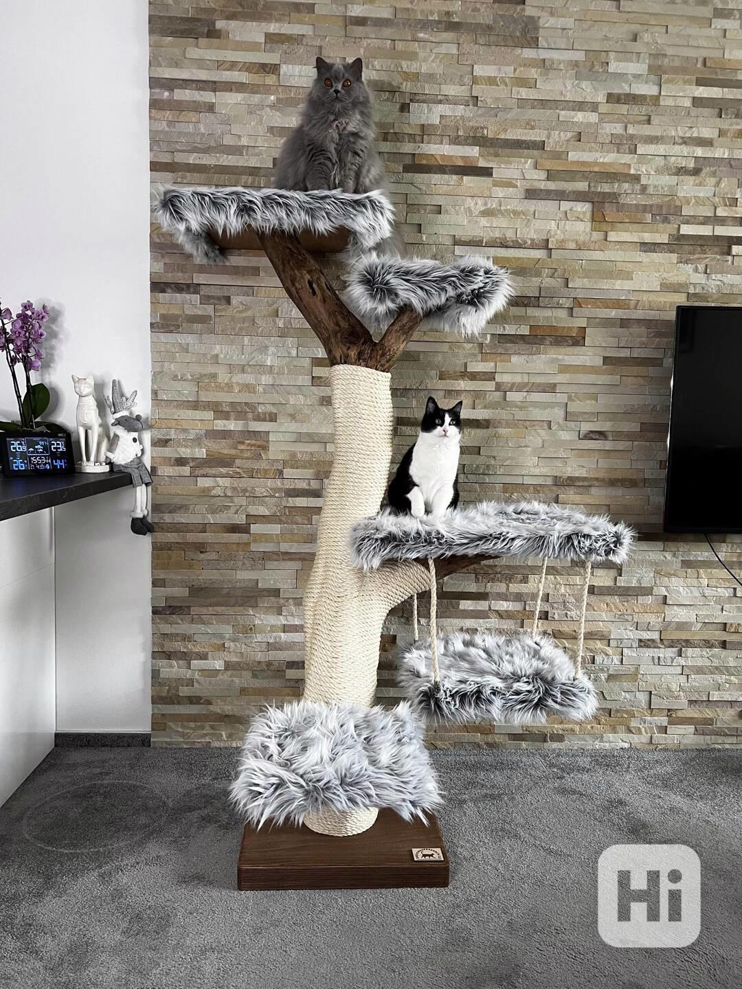 Kočičí stromy  - foto 1