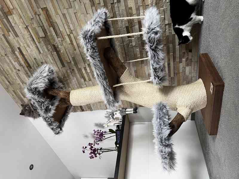 Kočičí stromy  - foto 2