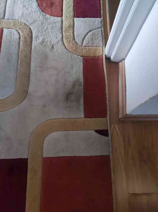 Kusový koberec - 158 x 235 - foto 3