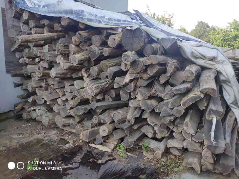 Akátové dřevo na kůly  - foto 1
