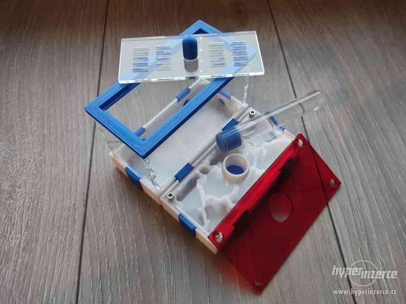 Formikárium / Formicarium / Mravenčí farma - foto 2