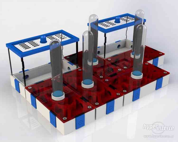 Formikárium / Formicarium / Mravenčí farma - foto 7