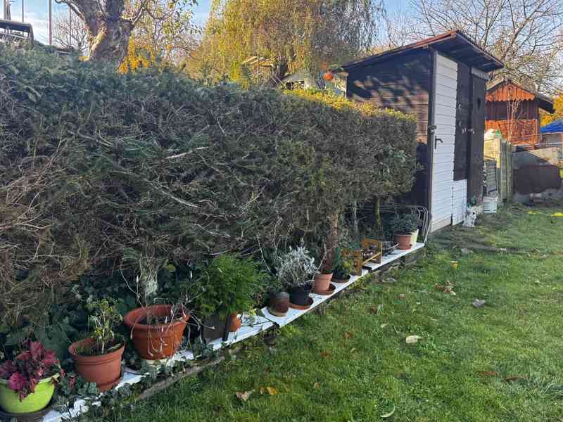 Prodej zahrady s chatkou 🌿 Přerov – lokalita pod nemocnicí  - foto 7