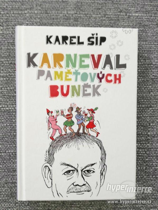 Karneval pametovych bunek - Karel Šíp - foto 1