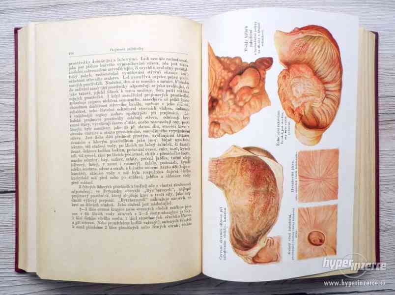 Starožitná kniha Náš rádce v nemoci a zdraví, rok vydání 193 - foto 9