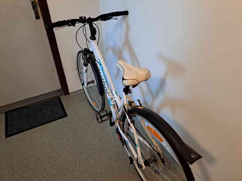 Kolo Author - foto 4