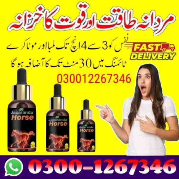 Ling  karne Jacaranda Horse Oil In Faisalabad| 03001267346 | - foto 1