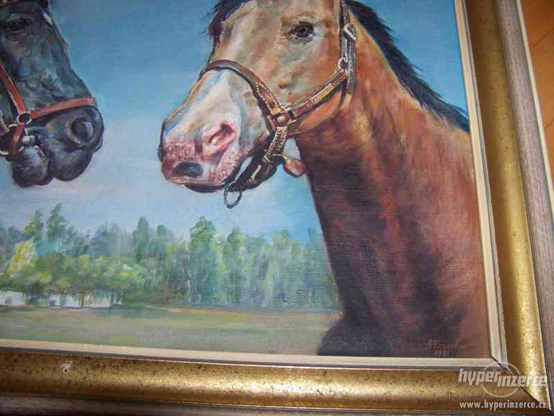 Nádherný obraz koně - foto 2