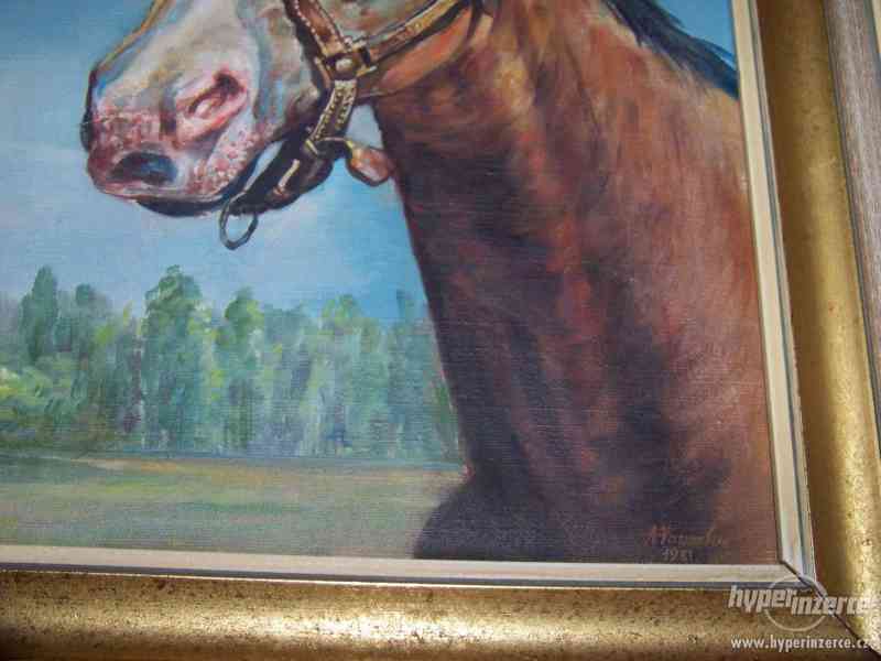 Nádherný obraz koně - foto 4