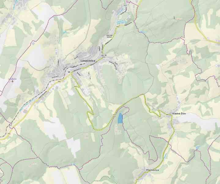 Prodej nevytěženého lesa u Luhačovic - 3,25 ha - foto 2