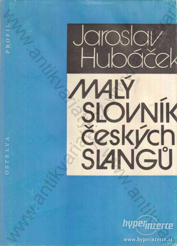 Malý slovník českých slangů Hubáček Profil 1988 - foto 1