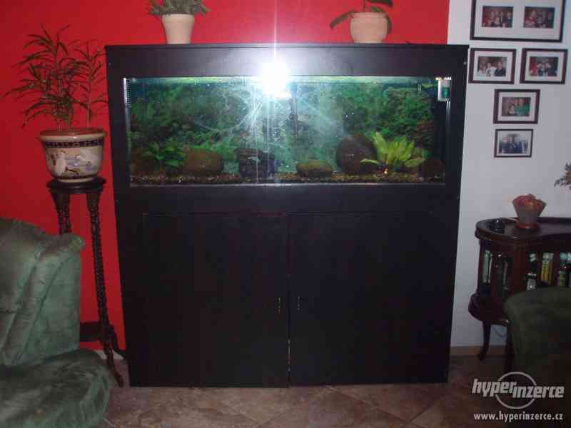 AKVARIUM VESTAVĚNÉ VE SKŘÍNI - foto 1
