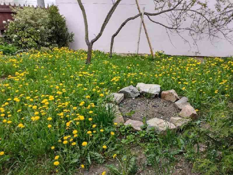 Prodej rodinného domu - foto 15