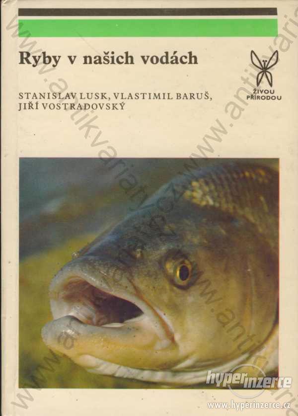 Ryby v našich vodách Lusk, Baruš, Vostradovský - foto 1