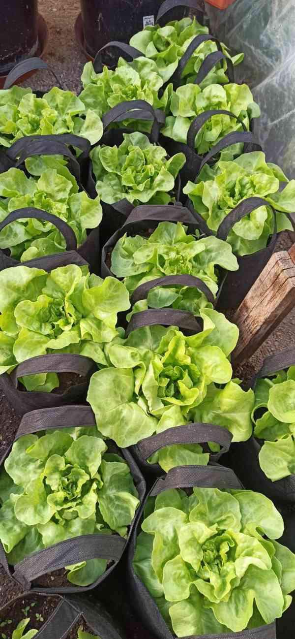 Moon River textilní květináč černý objem 7 l - foto 3