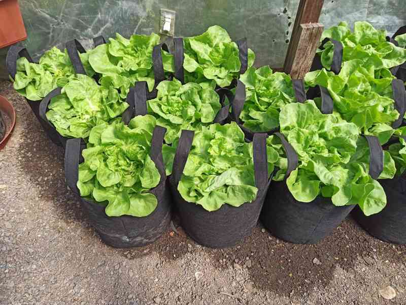 Moon River textilní květináč černý objem 7 l - foto 2