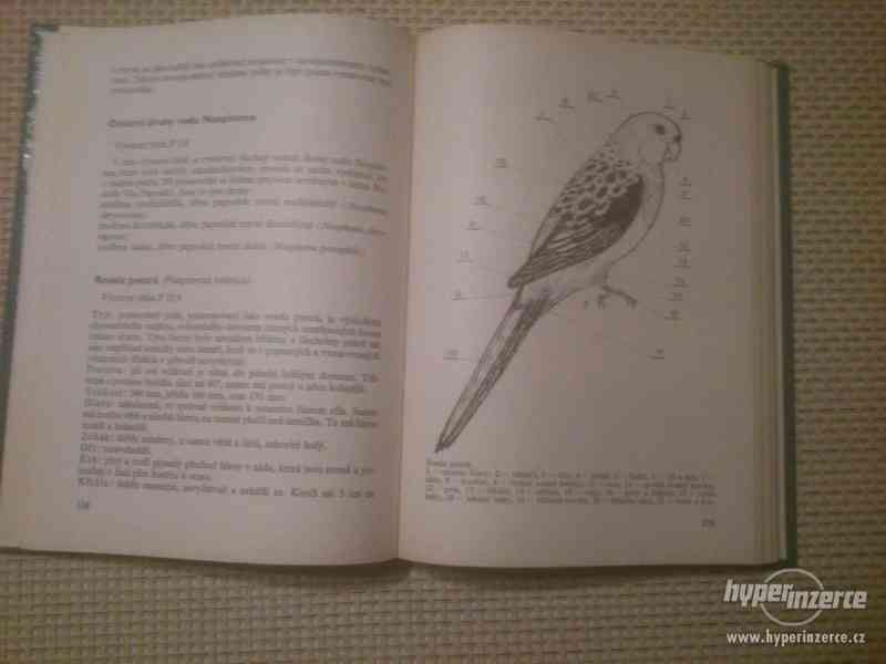Standard cizokrajného ptactva Walther Wiener - foto 2