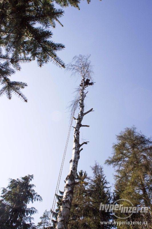 Rizikové kácení stromů horolezeckou technikou - foto 1